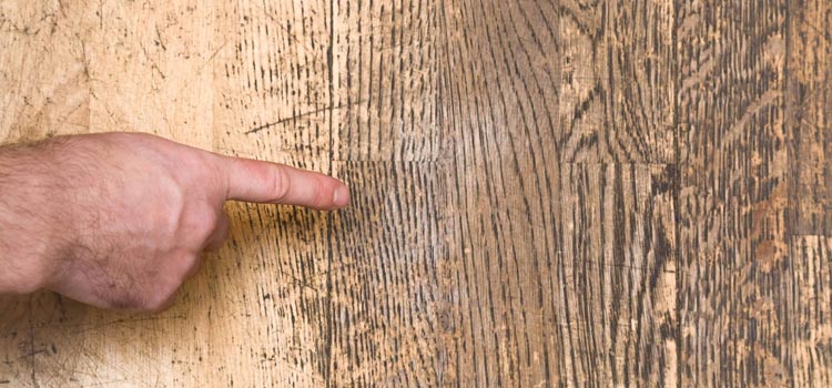 Wood Door Scratch Repair in Lake Worth